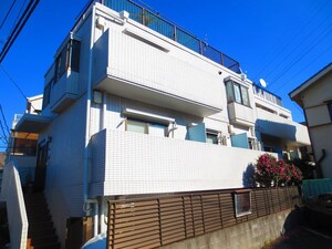 Ｍａｉｓｏｎカメリア
