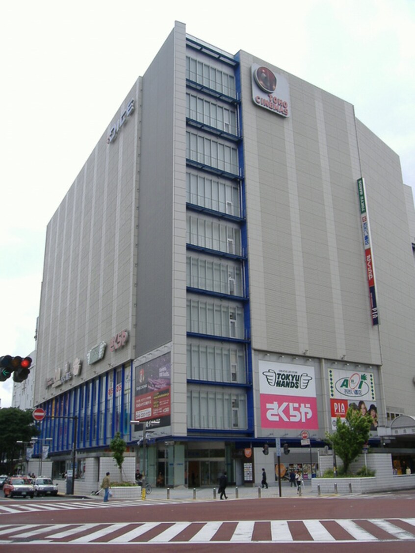 ダイス(ショッピングセンター/アウトレットモール)まで859m Premium Residence Kawasaki