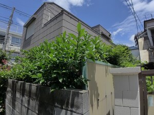 ハウス８５