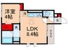 セジュール西台８ 1LDKの間取り