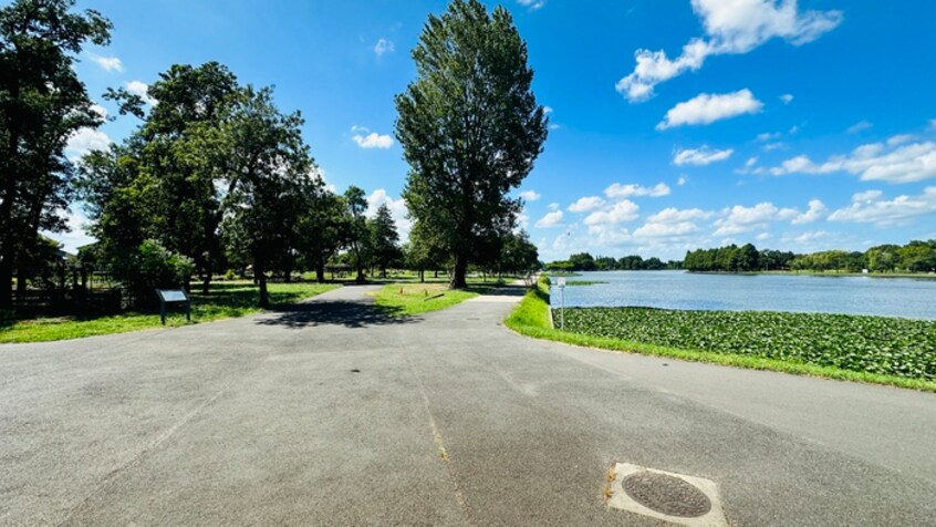 水元公園(公園)まで300m ルーヴ