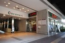 coconeri(ショッピングセンター/アウトレットモール)まで600m メゾンドオペラ