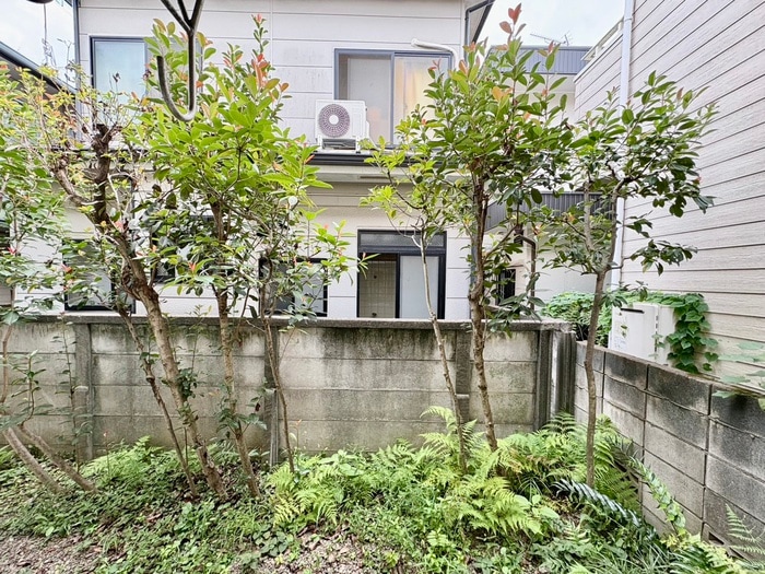 室内からの展望 ベルシェ祖師谷