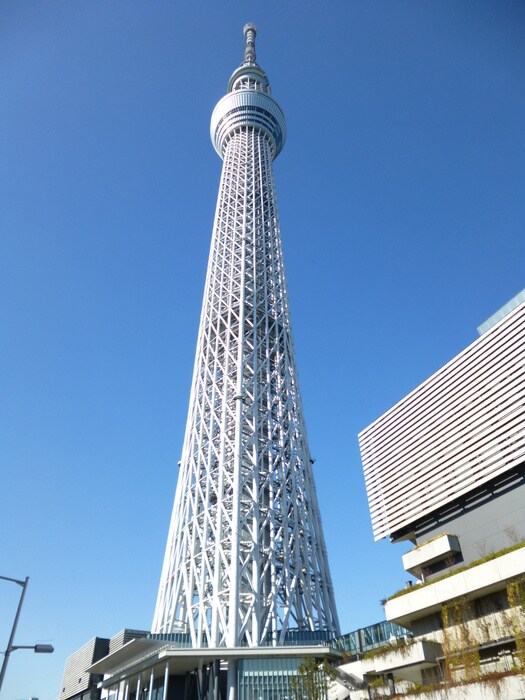 東京スカイツリー(ショッピングセンター/アウトレットモール)まで160m サンフル押上Ⅰ