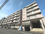 田園ドミ－ル