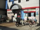 平塚菫平郵便局(郵便局)まで700m コスモ桃浜