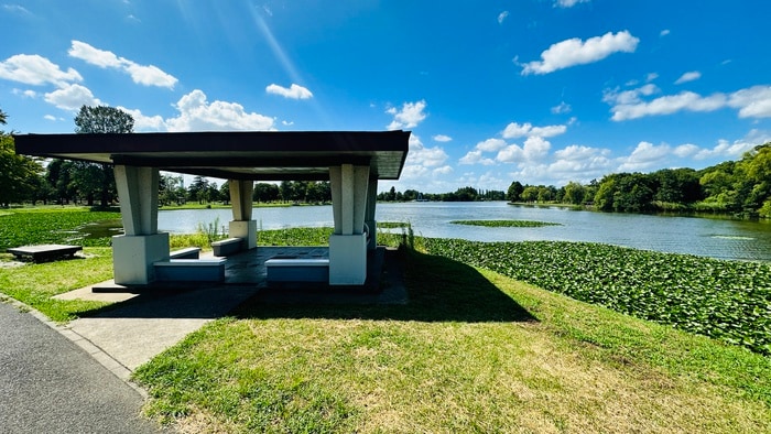 水元公園(公園)まで290m プリュニエ