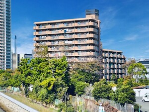 トーア南晴海マンション(301)