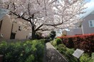 世田谷区立北沢川緑道(公園)まで400m フェスタ下北沢