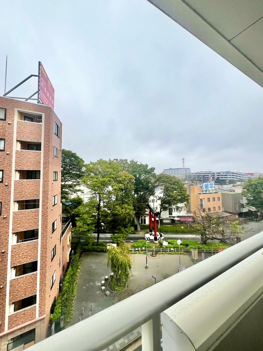 室内からの展望 アイビ－コ－ト