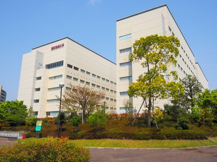 昭和音楽大学(大学/短大/専門学校)まで300m アクシス山口台