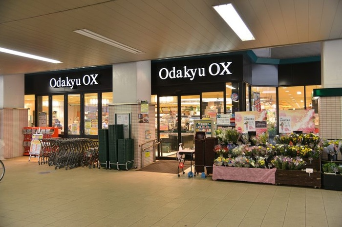 Odakyu OX　梅ヶ丘店(スーパー)まで650m サークルハウス東松原