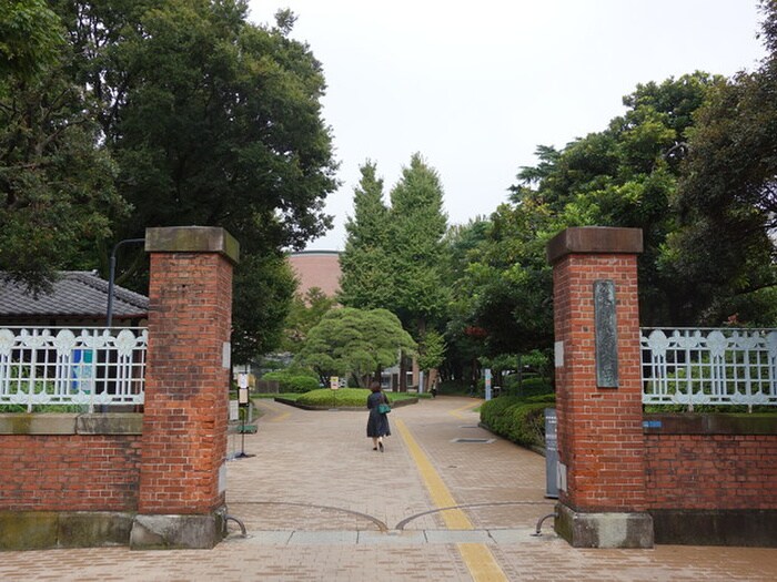 東京芸術大学(大学/短大/専門学校)まで879m 永楽レジデンス