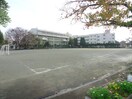 川越市立大塚小学校(小学校)まで550m スカイハイツ