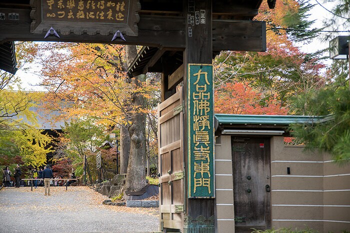 九品仏淨眞寺(公園)まで100m 奥沢７丁目戸建て