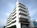 Ｐｉａｃｅｖｏｌｅ