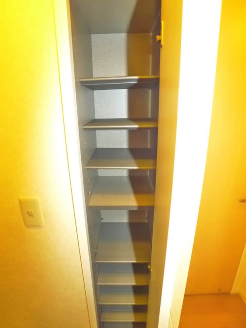 靴箱 ロジュマンブリヤン