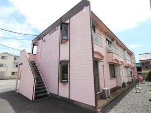ベルゾーネー柳