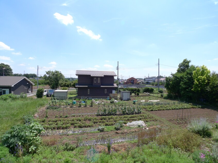 室内からの展望 イセ・ビエント