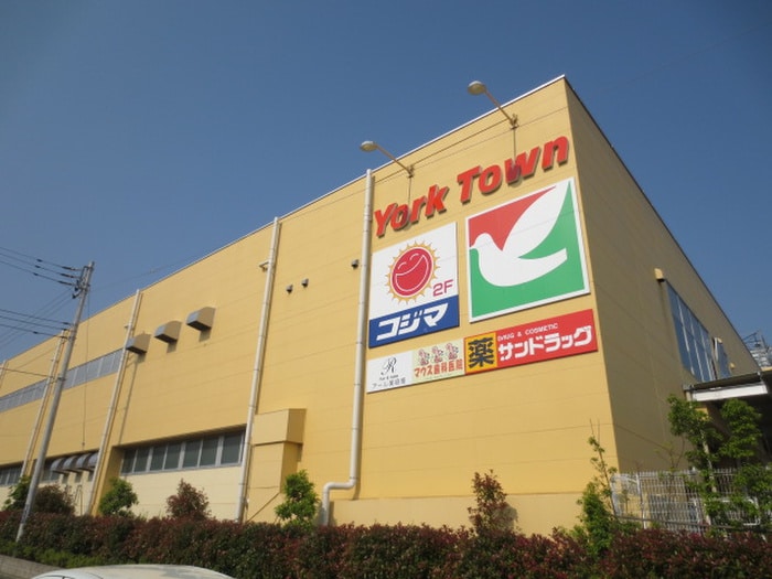 ヨークマート 北金目店(スーパー)まで698m メゾンわかくさ