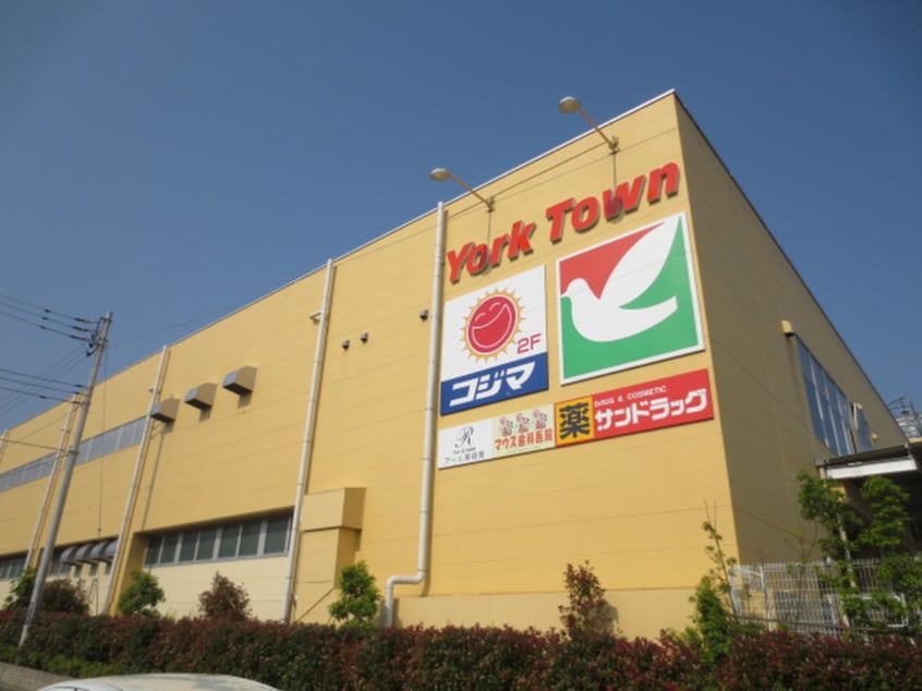 ヨークマート 北金目店(スーパー)まで698m メゾンわかくさ