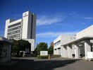 東京国際大学第二キャンパス(大学/短大/専門学校)まで800m ブルーメンハイム