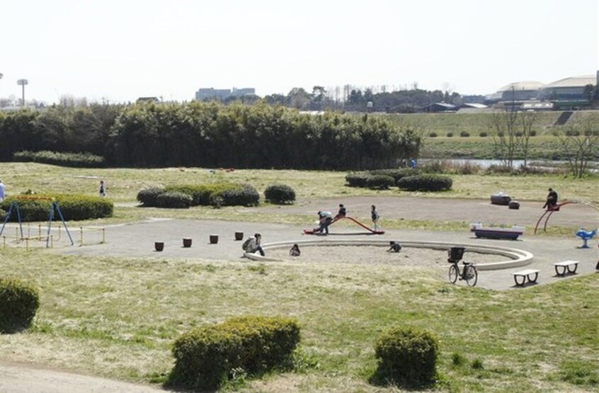 多摩川遊園(公園)まで333m リブリ・ドルフ上野毛