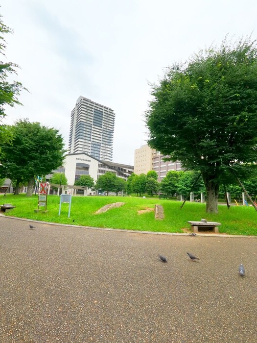 松原団地西口公園(公園)まで250m ｼﾃｨﾃﾗｽ草加松原ｼｰｽﾞﾝｽﾞ(325)