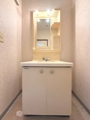 洗面 パークヒルズ入谷