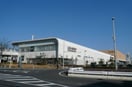 コクーン(ショッピングセンター/アウトレットモール)まで600m 新都心ハイツ