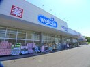 ウェルシア(ドラッグストア)まで1100m 千代ハイツ
