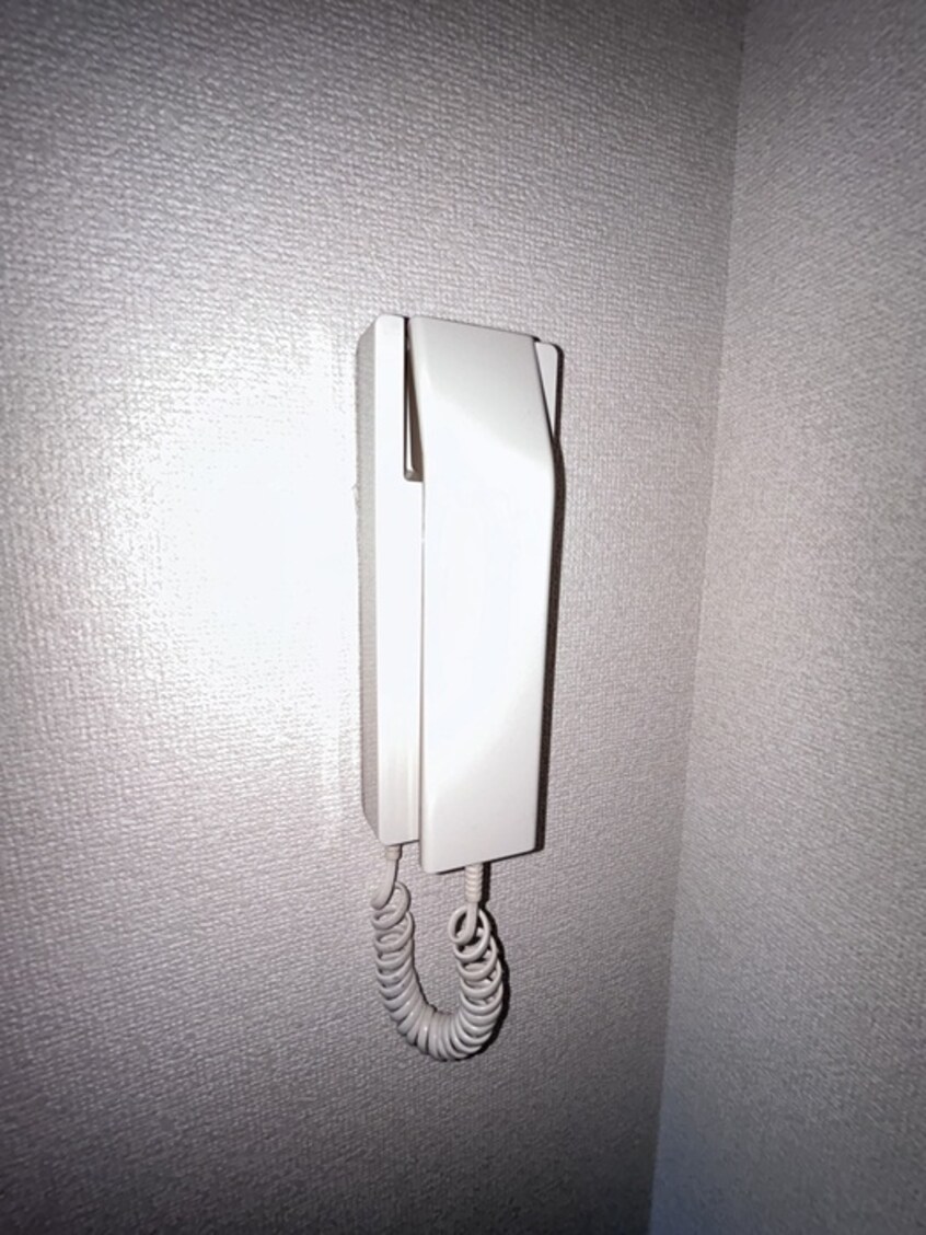 内観写真 ｼﾞｭﾈﾊﾟﾚｽ柏第１３