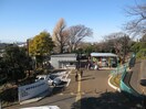 野毛山公園(公園)まで400m 戸部チェルシー