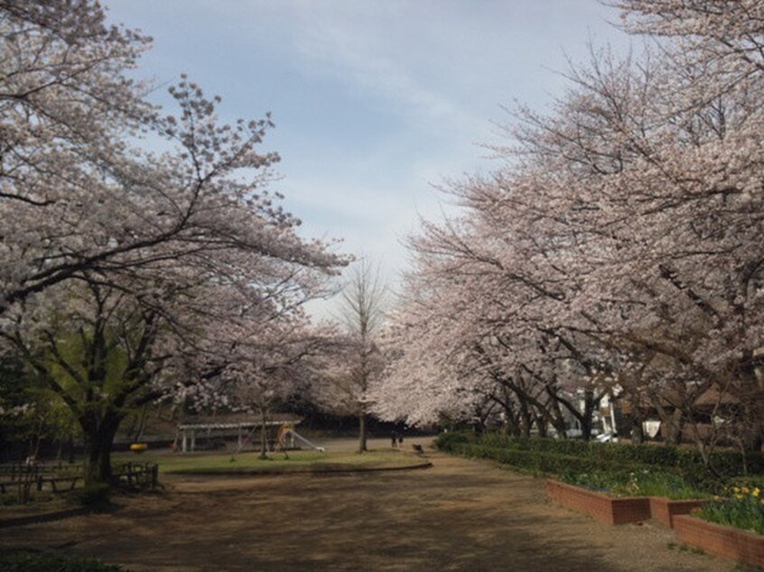 御幣公園(公園)まで44m パ－クハイツオンベイ