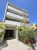 Ｌａｐｉｎ　Ｏｈｊｉｍａ