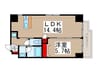 アークシティ松戸 1LDKの間取り