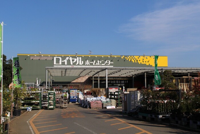 ロイヤルホームセンター 湘南大磯店(電気量販店/ホームセンター)まで1056m 化粧坂ハイツ