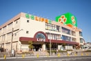 ライフ(スーパー)まで500m 寺谷ヒルズ