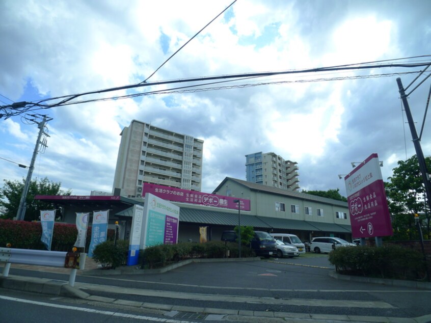 デポー(スーパー)まで581m アンソレイエ園生