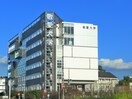 敬愛大学(大学/短大/専門学校)まで1300m アンソレイエ園生