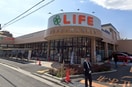 ライフ 鵜の木店(スーパー)まで526m ミドルリバー田園調布南