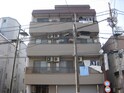 完成写真