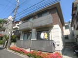 シャイン