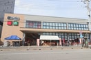 マックスバリューエクスプレス(スーパー)まで400m プラ－ジュ幕張