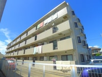 サンシャインキミ