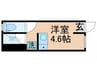 タイムテラス金町 1Rの間取り