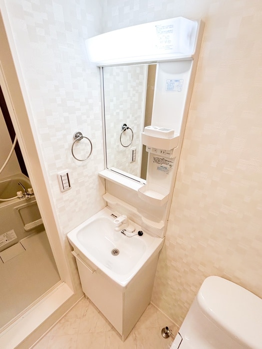 洗面 ドブリーデン中野島