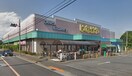 いなげや(スーパー)まで700m ベルフラット