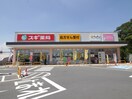 スギ薬局(ドラッグストア)まで450m シャンブル