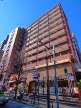 高田馬場ダイカンプラザ（313）